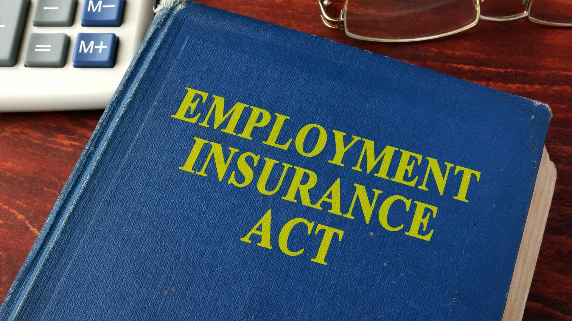 About Employment Insurance
