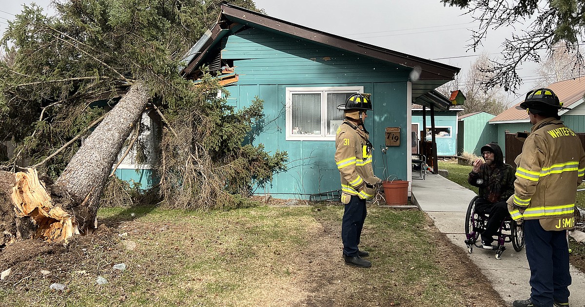 Tree falls on Whitefish home causing significant damage - Insurance in the US